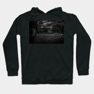 Monochrome County Durham Sheep Hoodie